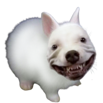 ๐ฆ๐ฎ๐ต๐ฌ๐ธ๐ถ๐ฎ ๐ฝ๐ธ ๐ฑ๐ฎ๐ต๐ต... ๐๐ท๐ณ๐ธ๐ ๐๐ธ๐พ๐ป ๐ผ๐ฝ๐ช๐โค๏ธ